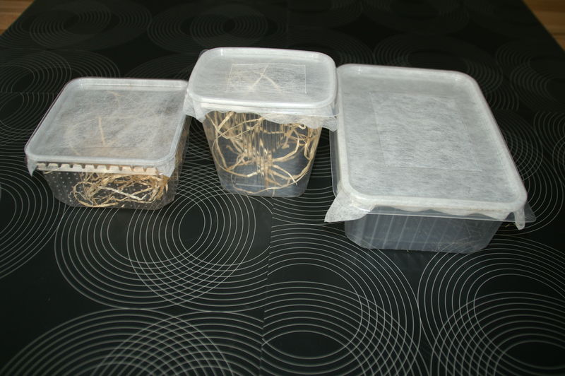 Datei:PICT0302.JPG