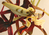 Adultes Weibchen von Hymenopus coronatus